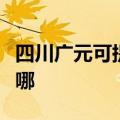 四川广元可提供荣事达电磁炉维修服务地址在哪