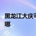 黑龙江大庆可提供樱花消毒柜维修服务地址在哪
