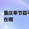 重庆奉节县可提供澳柯玛电饭煲维修服务地址在哪