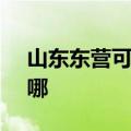 山东东营可提供SKG消毒柜维修服务地址在哪