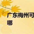 广东梅州可提供SKG消毒柜维修服务地址在哪