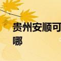 贵州安顺可提供SKG消毒柜维修服务地址在哪