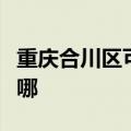 重庆合川区可提供博世消毒柜维修服务地址在哪