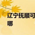 辽宁抚顺可提供SKG消毒柜维修服务地址在哪