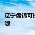 辽宁盘锦可提供澳柯玛电饭煲维修服务地址在哪