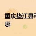 重庆垫江县可提供松下电饭煲维修服务地址在哪