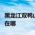 黑龙江双鸭山可提供格力电饭煲维修服务地址在哪