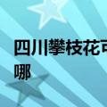 四川攀枝花可提供索奇消毒柜维修服务地址在哪