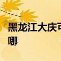黑龙江大庆可提供超人消毒柜维修服务地址在哪
