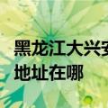 黑龙江大兴安岭可提供格兰仕电饭煲维修服务地址在哪