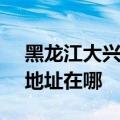 黑龙江大兴安岭可提供SKG消毒柜维修服务地址在哪