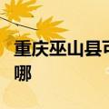 重庆巫山县可提供德意消毒柜维修服务地址在哪