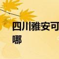 四川雅安可提供SKG消毒柜维修服务地址在哪