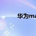 华为mate30epro（华为Mate）