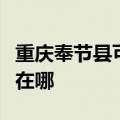 重庆奉节县可提供艾美特电饭煲维修服务地址在哪