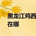 黑龙江鸡西可提供SKG消毒柜维修服务地址在哪