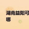 湖南益阳可提供SKG电饭煲维修服务地址在哪
