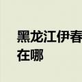 黑龙江伊春可提供SKG电饭煲维修服务地址在哪