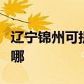 辽宁锦州可提供荣事达电饼铛维修服务地址在哪