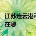 江苏连云港可提供格兰仕电饼铛维修服务地址在哪