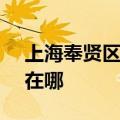 上海奉贤区可提供SKG电饭煲维修服务地址在哪