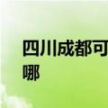 四川成都可提供SKG电饭煲维修服务地址在哪
