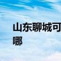 山东聊城可提供SKG电饭煲维修服务地址在哪