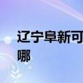 辽宁阜新可提供SKG电饭煲维修服务地址在哪