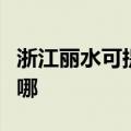 浙江丽水可提供荣事达电饼铛维修服务地址在哪