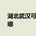 湖北武汉可提供SKG电饼铛维修服务地址在哪