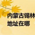 内蒙古锡林郭勒可提供SKG电饼铛维修服务地址在哪