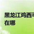 黑龙江鸡西可提供澳柯玛电饼铛维修服务地址在哪