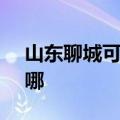 山东聊城可提供SKG电饼铛维修服务地址在哪