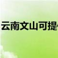 云南文山可提供红心电饼铛维修服务地址在哪