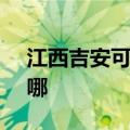 江西吉安可提供SKG电饼铛维修服务地址在哪