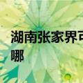 湖南张家界可提供红心电饼铛维修服务地址在哪