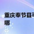 重庆奉节县可提供东菱电饼铛维修服务地址在哪