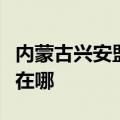 内蒙古兴安盟可提供东菱电饼铛维修服务地址在哪