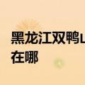 黑龙江双鸭山可提供东菱电饼铛维修服务地址在哪