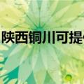 陕西铜川可提供东菱电饼铛维修服务地址在哪