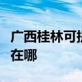 广西桂林可提供格兰仕电压力锅维修服务地址在哪