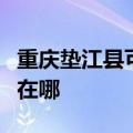 重庆垫江县可提供海尔电压力锅维修服务地址在哪