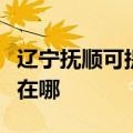 辽宁抚顺可提供飞利浦电压力锅维修服务地址在哪