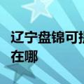 辽宁盘锦可提供格兰仕电压力锅维修服务地址在哪
