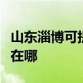 山东淄博可提供飞利浦电压力锅维修服务地址在哪
