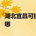 湖北宜昌可提供康佳电压力锅维修服务地址在哪