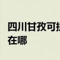 四川甘孜可提供格兰仕电压力锅维修服务地址在哪
