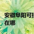 安徽阜阳可提供飞利浦电压力锅维修服务地址在哪