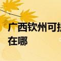 广西钦州可提供每时乐电压力锅维修服务地址在哪