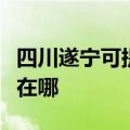 四川遂宁可提供每时乐电压力锅维修服务地址在哪
